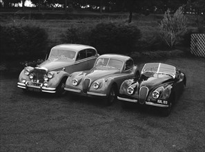Three Jaguars. A line-up of three Jaguar cars (left to right): a Jaguar Mark V belonging to Archer,