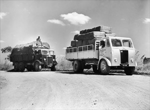Tanganyika Road Services lorries. An official photograph from the East African Railways and