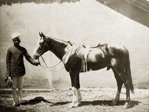 Pedigree stallion. An Indian servant displays a pedigree stallion for the camera. The name of the