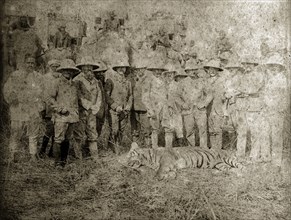 Tiger hunters with a kill. A group of British and Indian hunters in Western clothing and solatopi