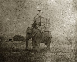 A hunting elephant and its mahout. A British man gazes out from a howdah on the back of hunting