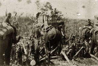 A raft of elephants. British women with parasols are ferried across rough terrain in howdahs on the