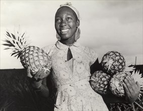 Pineapples for the canning factory. A young agricultural worker smiles for the camera as she