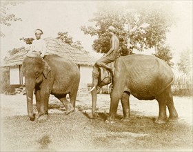Burmese mahouts. Two Burmese mahouts (elephant handlers) and their elephants take a break from