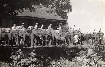 Elephants line up, Burma (Myanmar). Official publicity shot for the Burmese government. Mahouts