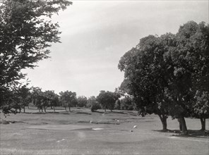 Golf course, Rangoon. Trees on a section of the golf course at Rangoon Golf Club. Rangoon (Yangon),