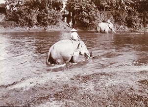 Elephants push logs down a jungle stream. Two mahouts (elephant handlers) ride their elephants