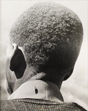 Tsetse fly on the back of a man's collar. A large tsetse fly sits on the back of a man's collar.