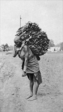 Woman carrying wood. An African woman supports a large bundle of firewood on her back with the aid