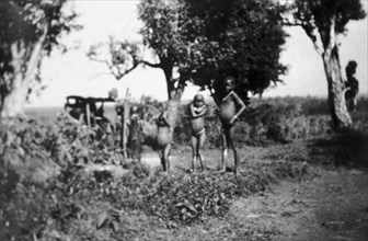 Nandi children. Several young, naked Nandi children stand in front of a small maize mill operated