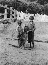Aboriginal boys with kangaroo. Two barefooted aboriginal boys pet young kangaroo in a fenced