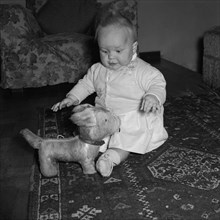 Baby at the Russel's house. A baby sitting on a patterned rug is captivated by a furry toy dog at