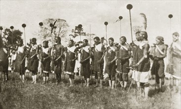 African dancers in costume. A group of African men dressed in ceremonial costume hold sticks as