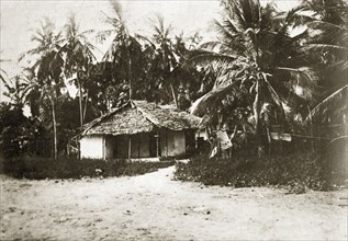 Coastal hut. A small thatched hut built in the shelter of palm trees near the coast. Mombasa,