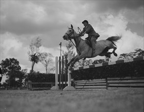 Lili Marlene' jumps a fence. Susan Millbank and her horse 'Lili Marlene' jump over a fence in the