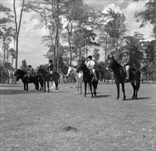 Pony riding competition. A row of children riding ponies line up in a field for the class one