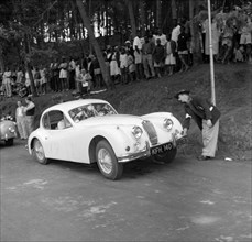 Car inspection at the Brackenhurst Hill Climb. A racing offical inspects a Jaguar car driven by Ron