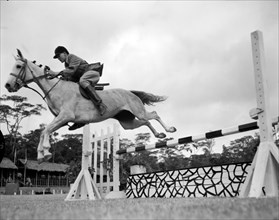 Cecil Walker rides 'Stella'. Cecil Walker rides his horse 'Stella' over a jump at the juvenile