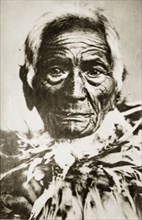 Portrait of a Maori chief. Portrait of an elderly Maori man wearing a ring of feathers around his