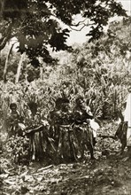 Fijian firewalkers. A group of Fijian men wear traditional dress consisting of tassled skirts,