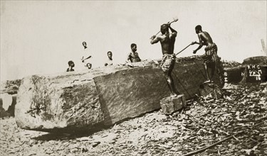 Cutting mahogany, West Africa. A large piece of mahogany timber is cut and prepared for sale by men