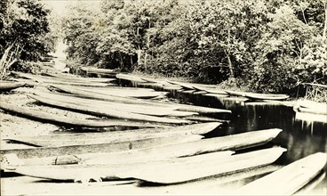 Traditional canoes, Western Africa. A flotilla of traditional dug-out wooden canoes. Western