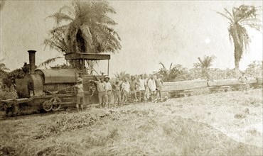 Transporting timber, Western Africa. Mahogany timber is transported along the coast on railway