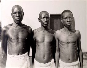 Three men in a line. Official publicity shot for the Tanganyikan government. Three men pose