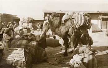 Bedouins unload their belongings. A group of bedouins unload bundles of belongings from their