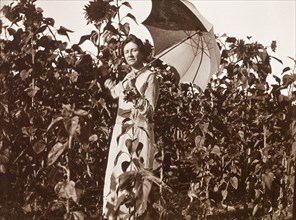 Amongst the sunflowers at Balloch Farm. A European woman, wearing a striped dress, shades herself