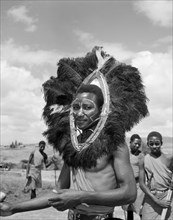 Wakamba dancer in headdress. Portrait of a male Wakamba dancer, his face painted and wearing a