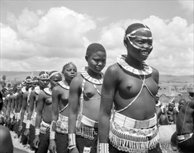 Female Wakamba dancers in line. A long line of semi-naked female Wakamba dancers face the camera,