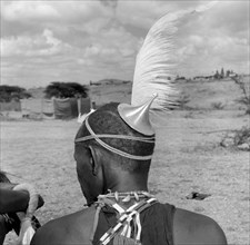 Wakamba headdress. Close-up shot of the back of a male Wakamba dancer's head. Dressed in ceremonial