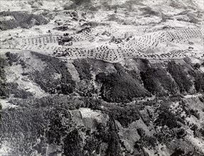 Aerial view of a Kikuyu fortified village. An official photograph taken from the air of a Kikuyu