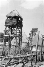 Kikuyu Home Guard watchtower. A wooden watchtower or observation tower rises above the heavily