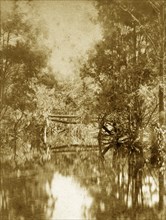 Moggill creek, Australia. Reflections in the water at Moggill creek located in the outback
