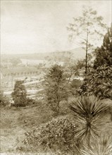 View from Wickham Terrace. A sloping garden belonging to a house at Wickham Terrace faces out over
