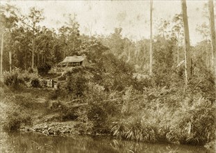 Mrs Butler's house at Gold creek. A dwelling identified as 'Mrs. Butler's House' is almost