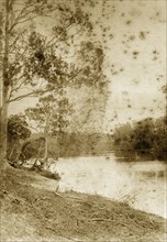 The Brisbane river at Wolstan. View from the riverbank of a peaceful section of the Brisbane river