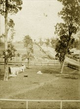 Settlers' plots, Queensland. Washing hangs from a line suspended between trees on a large, fenced