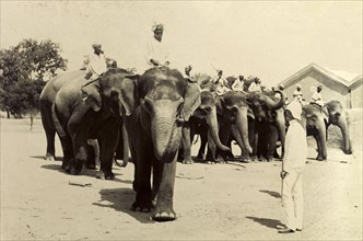 Marching off in file. Mahouts (elephant handlers) riding elephants in the heavy battery division of