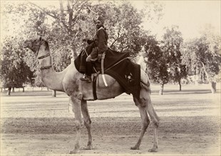 A mounted orderly. A turbaned orderly poses for the camera astride a dromedary camel, his curved