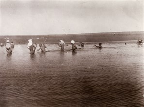 Moroccan men fishing. A group of Moroccan men, naked and up to their waists in water, hold fishing
