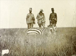 Hunters with zebra carcass. A European man identified as 'Hobley' stands between two African guides