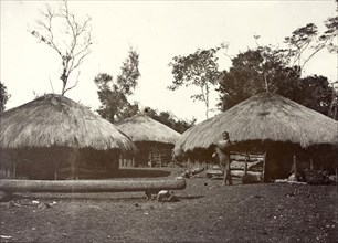 Thatched village huts, Kikuyu. Several round huts with thatched roofs are built closely together in