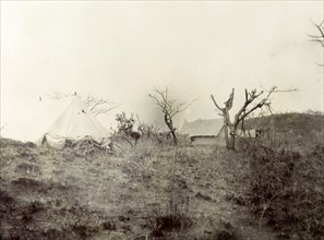 Stanbury's camp at Kikuyu. Safari tents erected at Kikuyu. This temporary camp site was one of