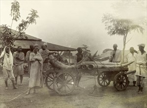 Ivory on a cart at Kisumu. Kenyan traders load up a cart with elephant tusks. British East Africa