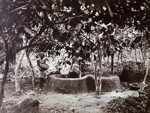 Female palm oil workers. Two women crushing palm oil nuts in a mud enclosure. Probably Badagry,
