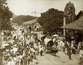 Main street of Colombo. The main street bustling with crowds and cattle-drawn carts. Colombo,