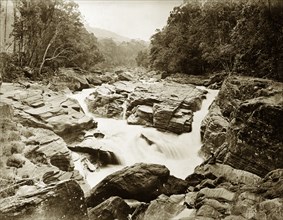 Jungle rapids, Ceylon. A slow exposure photograph of rapids on the Maskeliya River. Ceylon (Sri